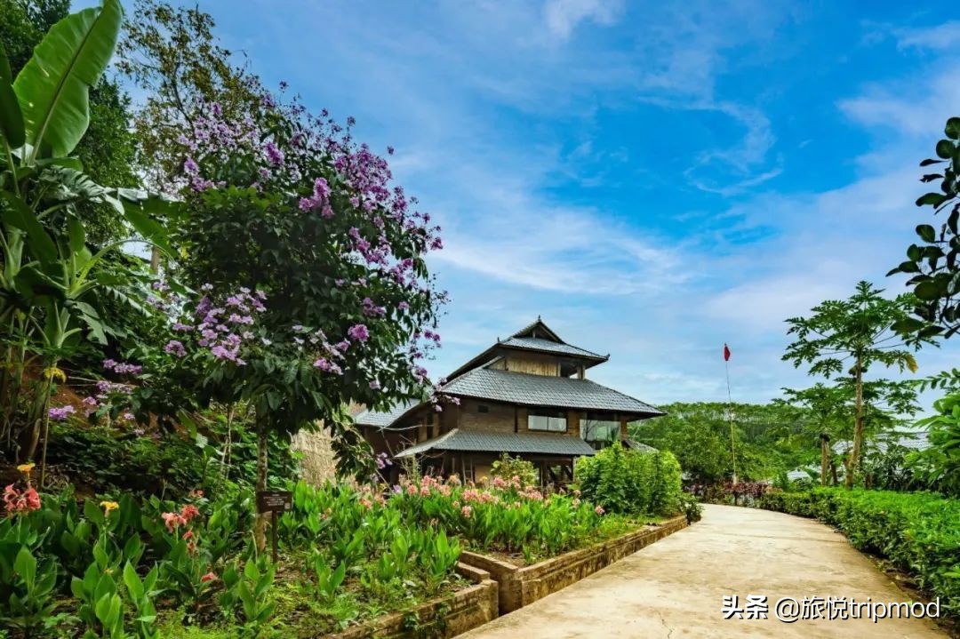 最新文旅集团百强榜,文旅集团品牌影响力500强