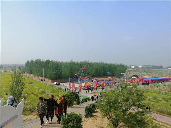 邱县第五届文冠果花节,邱县文冠花节掠影