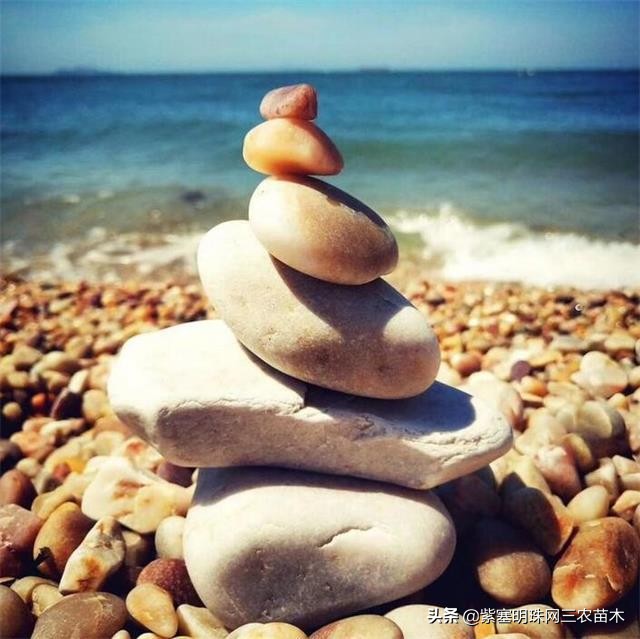 长岛值得去的渔家乐,长岛美丽的海岛