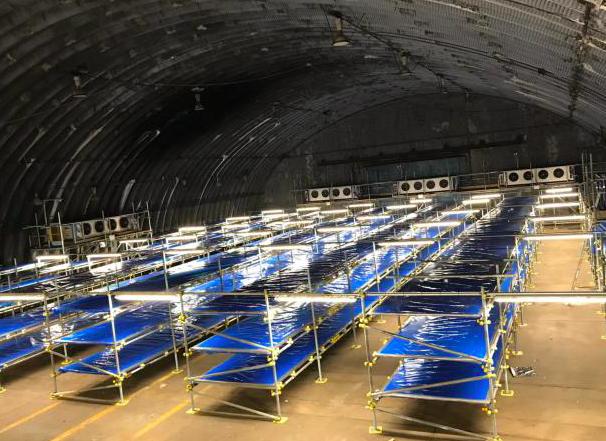 病毒肆虐，英国做最坏打算，将前皇家空军基地被改造成新冠停尸房