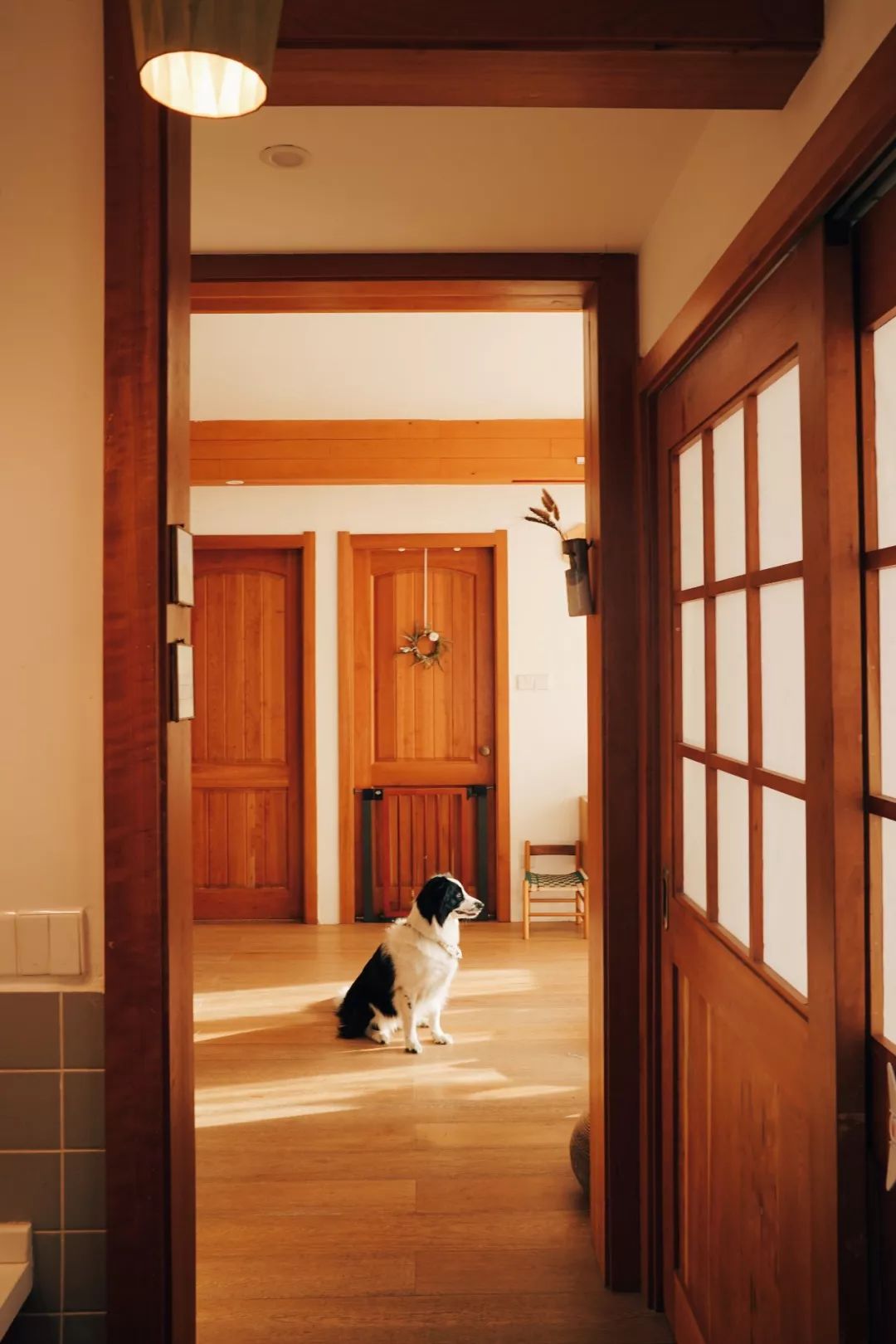 澶湁鐖变簡瀹屾暣瑙嗛,澶湁鐖变簡鍏ㄦ枃闃呰