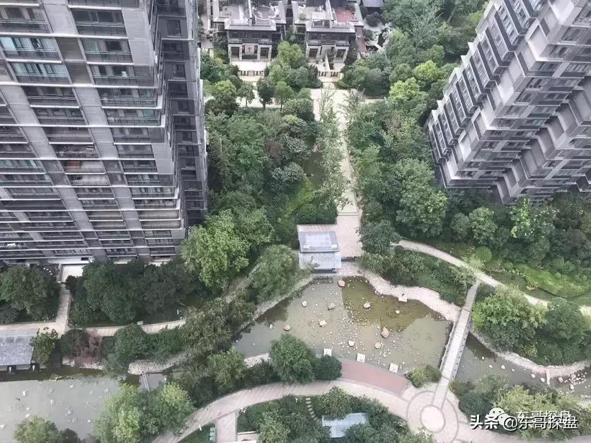 和永威万科比肩的楼盘,建业正商永威对比