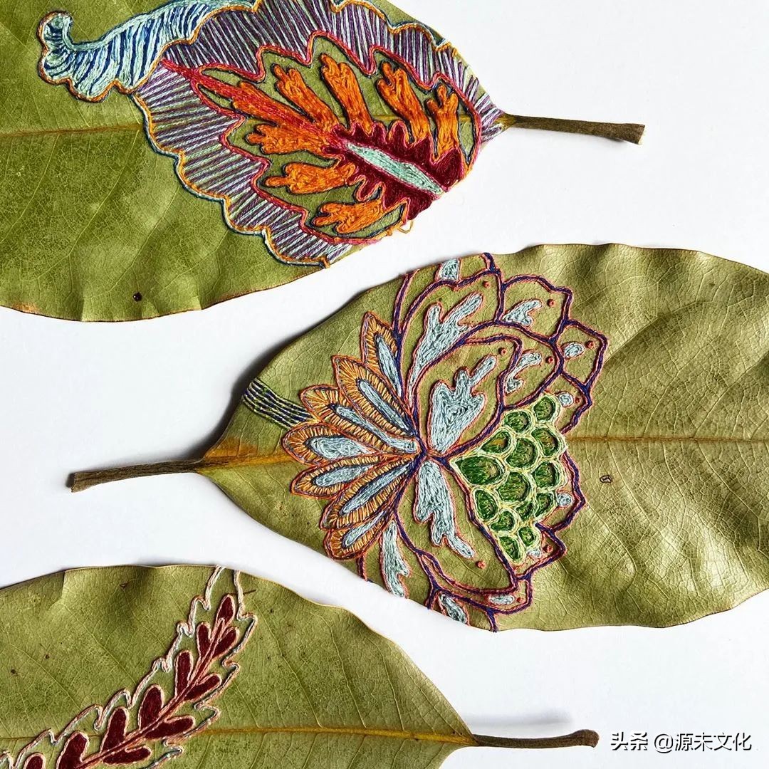 最失败的垃圾分类,目前常用的垃圾分类