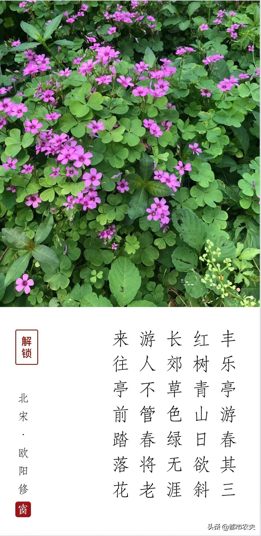 丰乐亭游春其三的场景,书巢记丰乐亭游春其三