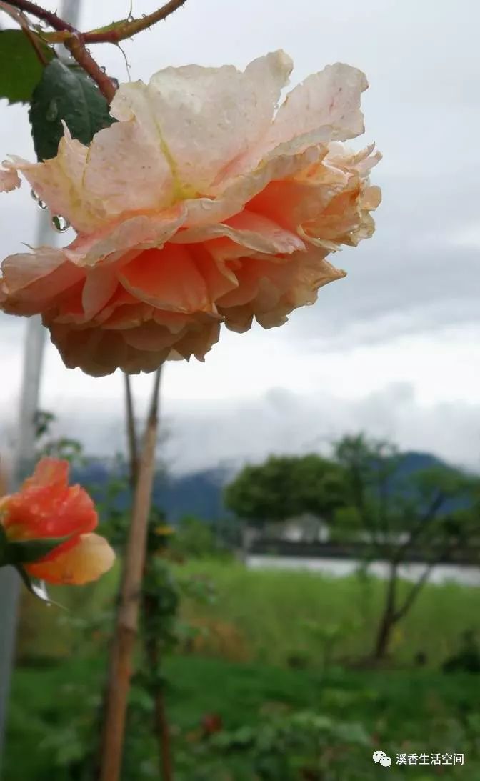 西溪南古村落惬意慢生活,徽州西溪南生活