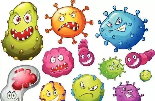 菌群在呼吸道和口腔炎症和感染中的作用