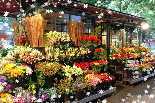 这些技巧让你的花店经营更好,花店经营技巧和方法