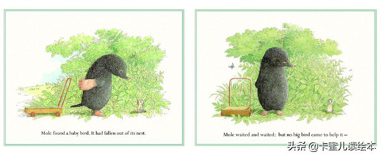 英文绘本动画故事完整版,英语绘本鼹鼠和小鸟