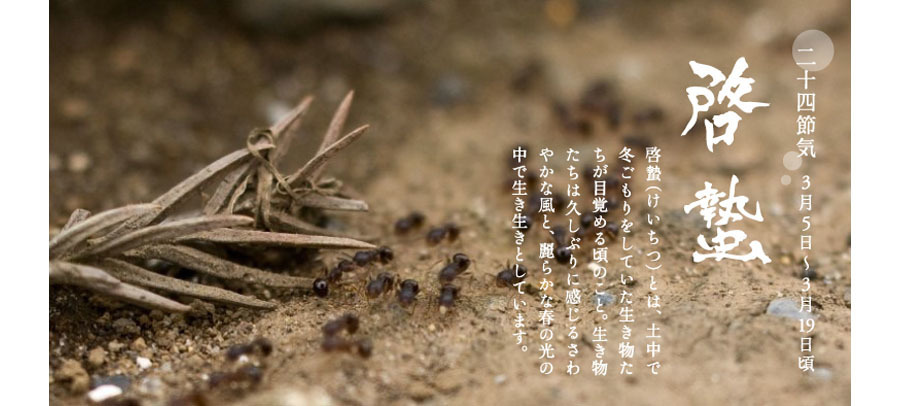 日本驱蚊虫神器,日本除虫神器