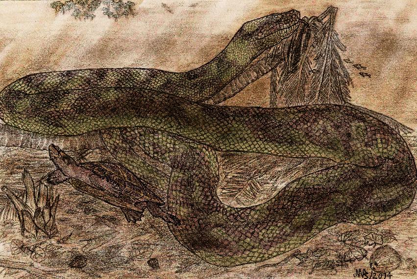 最长的蛇是什么蛇森蚺,史前巨蟒到底有多大