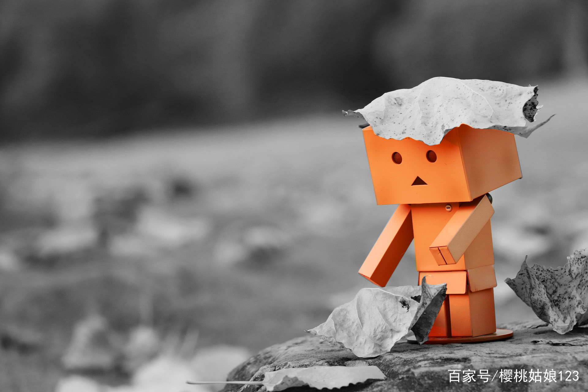 讨厌社交喜欢独处怎么办,为什么越来越多的人回避社交