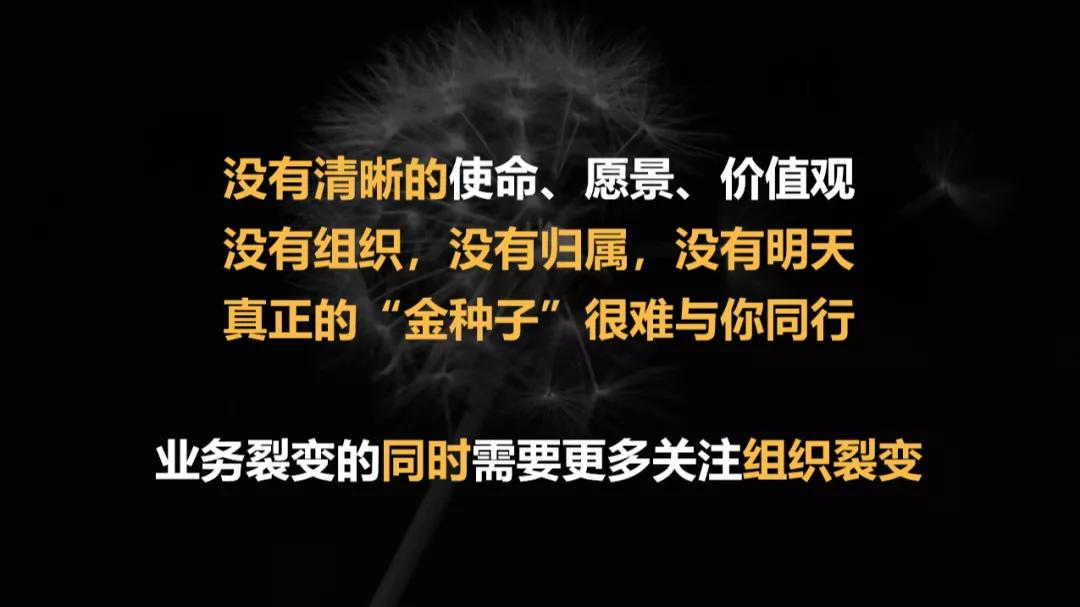 兴趣社群运营变现,怎么依靠社群输出稳定的价值变现