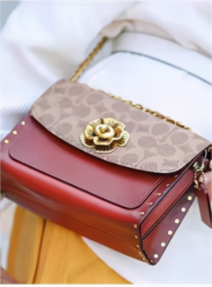 蔻驰经典款包包都有哪些,蔻驰包包哪几款是经典款