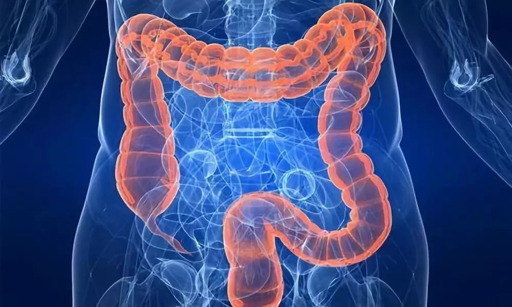 世界艾滋病日知识,艾滋病肠道菌群