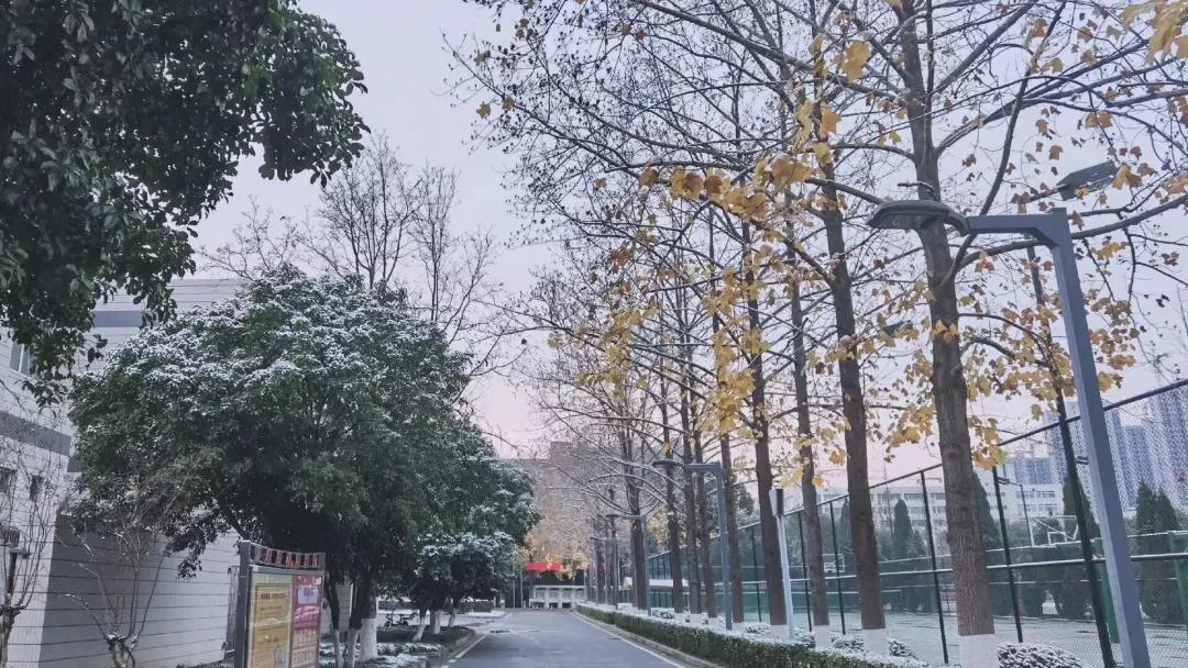 涓滃崡澶у鎴愯搐瀛﹂櫌,涓滃崡澶у鎴愯搐瀛﹂櫌鐧剧