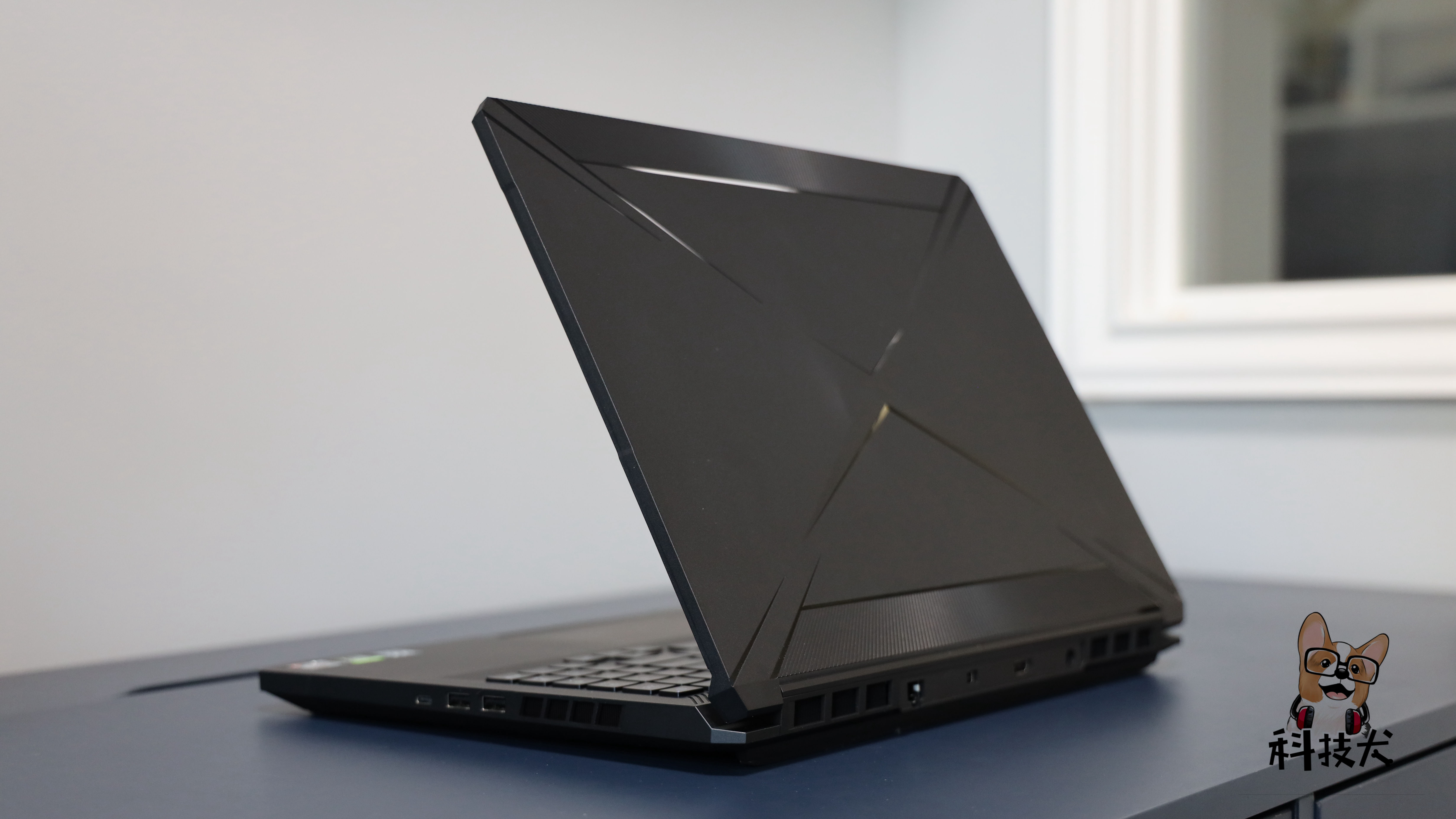 柯基狗幼犬多少钱一只,柯基犬最值得买的耳机