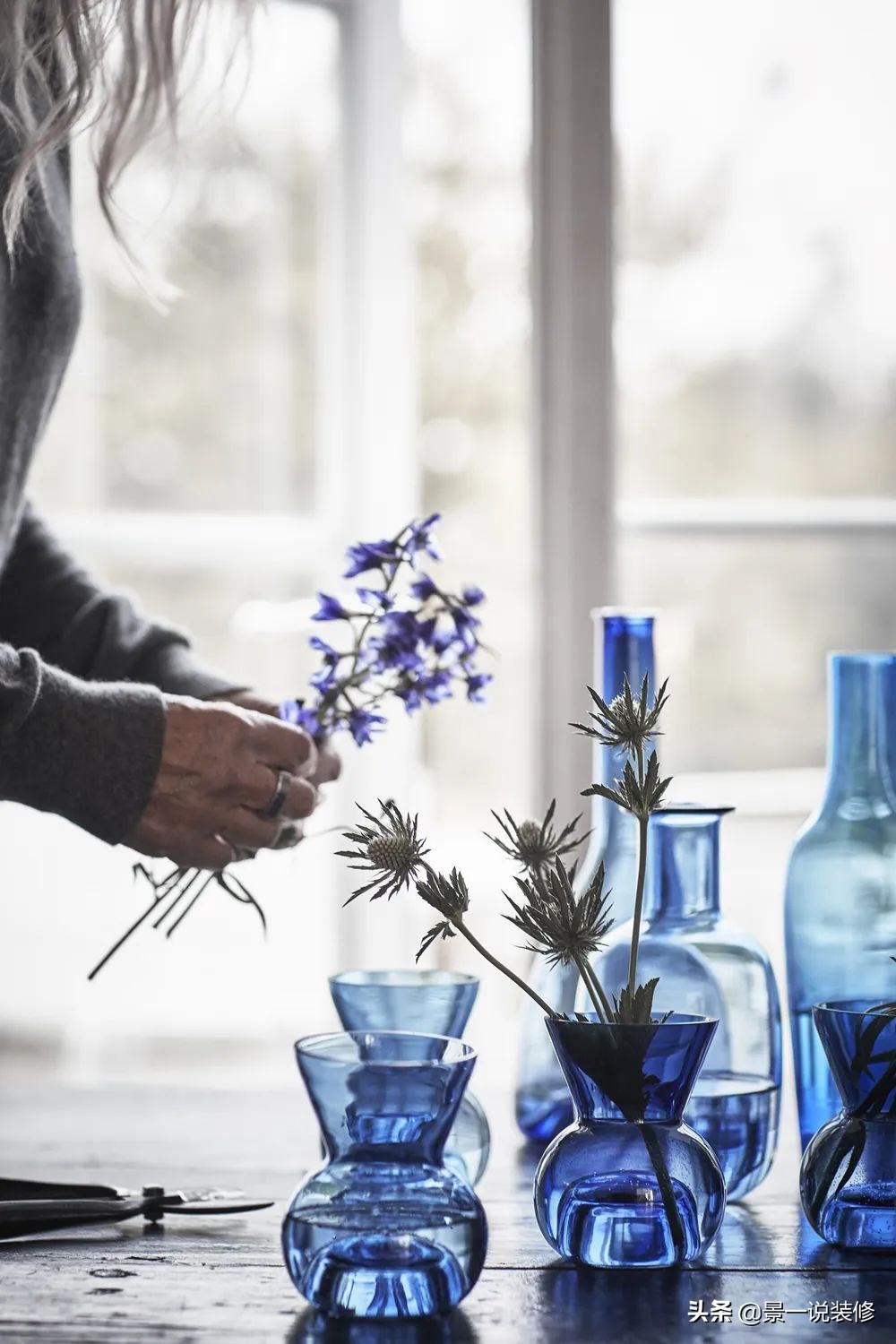 室内植物的摆放设计及养护,室内什么盆栽植物好养护呢