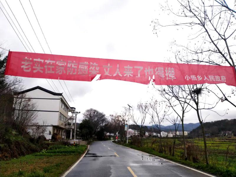 湖北籍同事报平安 (身在湖北怎么报平安)