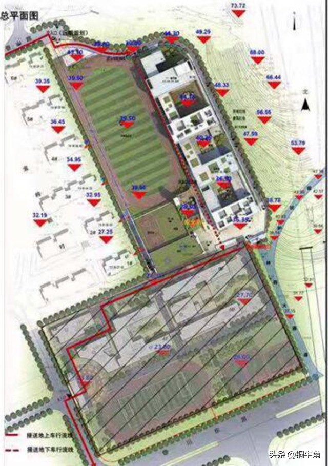 青岛学区划分查询,青岛市学区查询