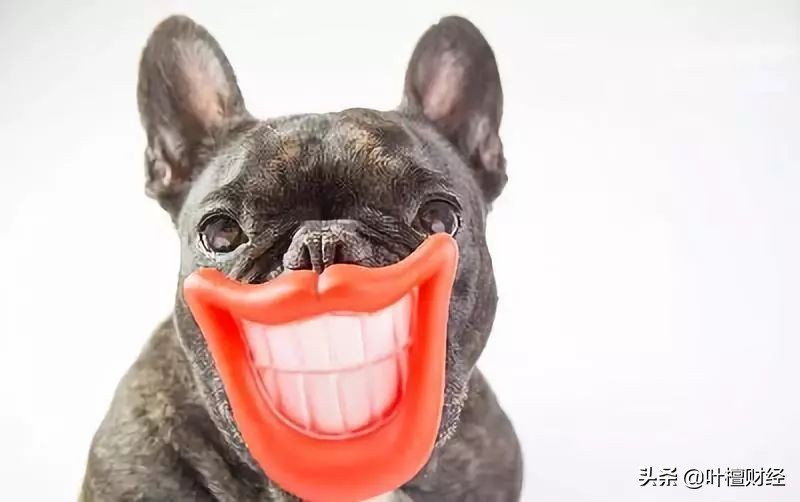 偏见让你爆仓！记住这两点涨8倍只是开始！