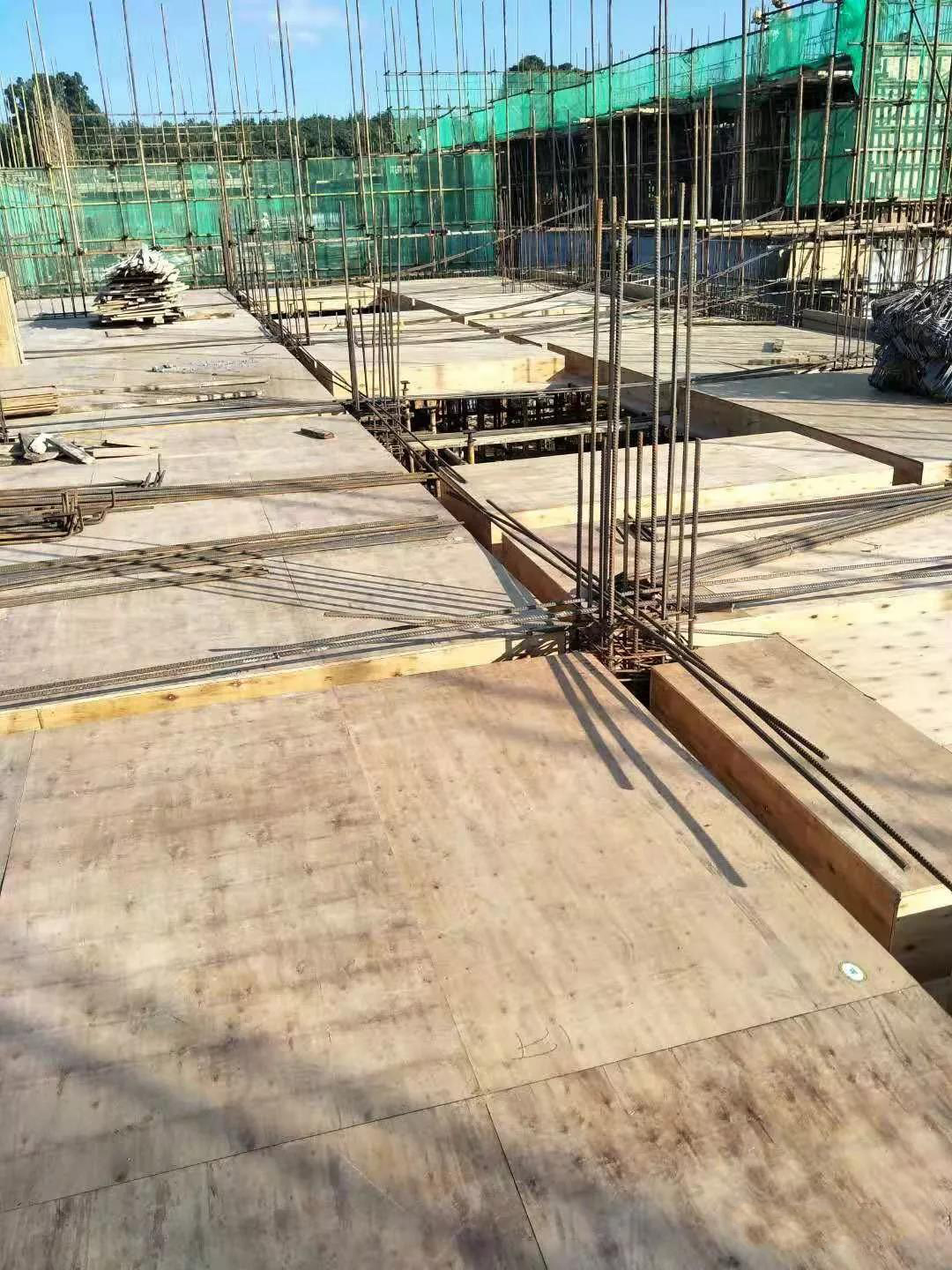 云南西双版纳公园里沙河郡好吗,公园里沙河郡升值空间