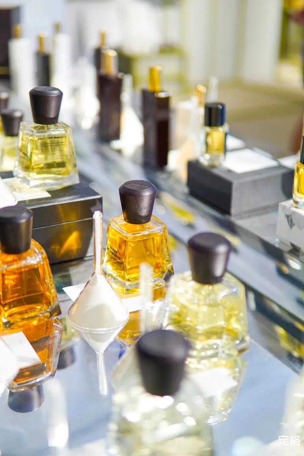 深圳周末打卡地点排行榜,深圳秋季打卡攻略