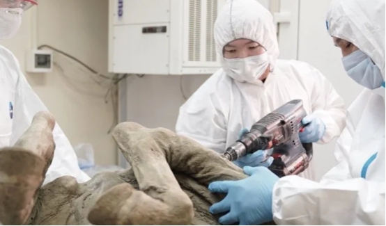 冰川融化史前病毒,北极冰层下史前病毒多可怕