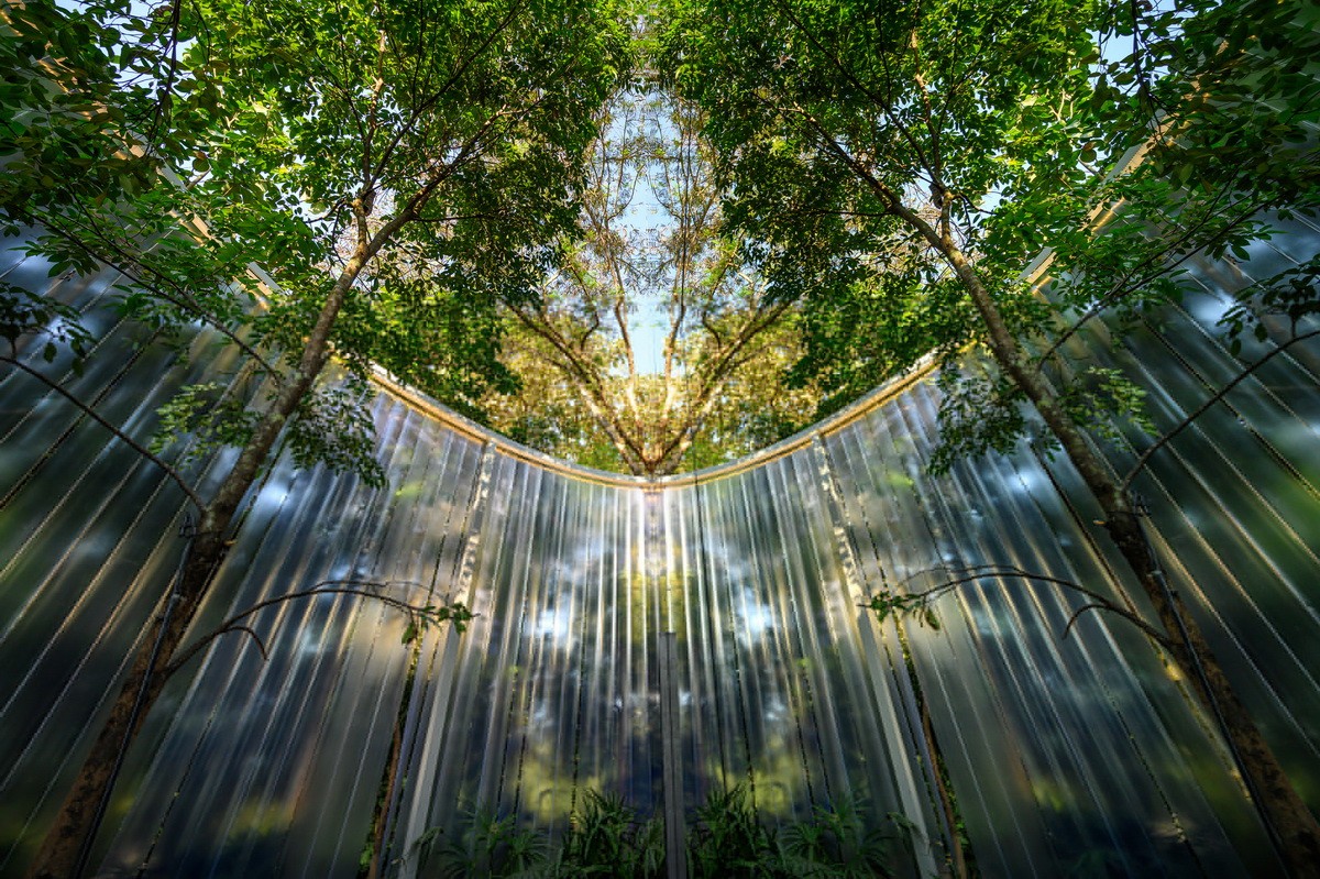 泰国清迈bie家的咖啡店,清迈咖啡店cafearte