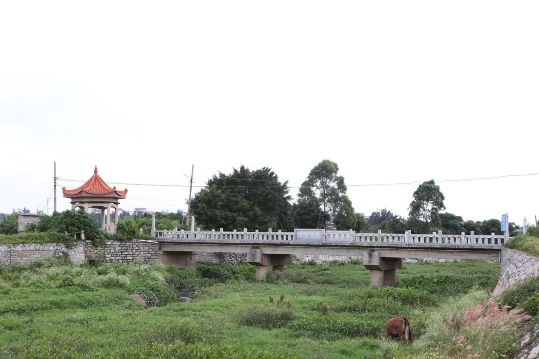 渚ㄨ缁挎鍜栧暋,鍙戠幇榫欐箹涔嬬編