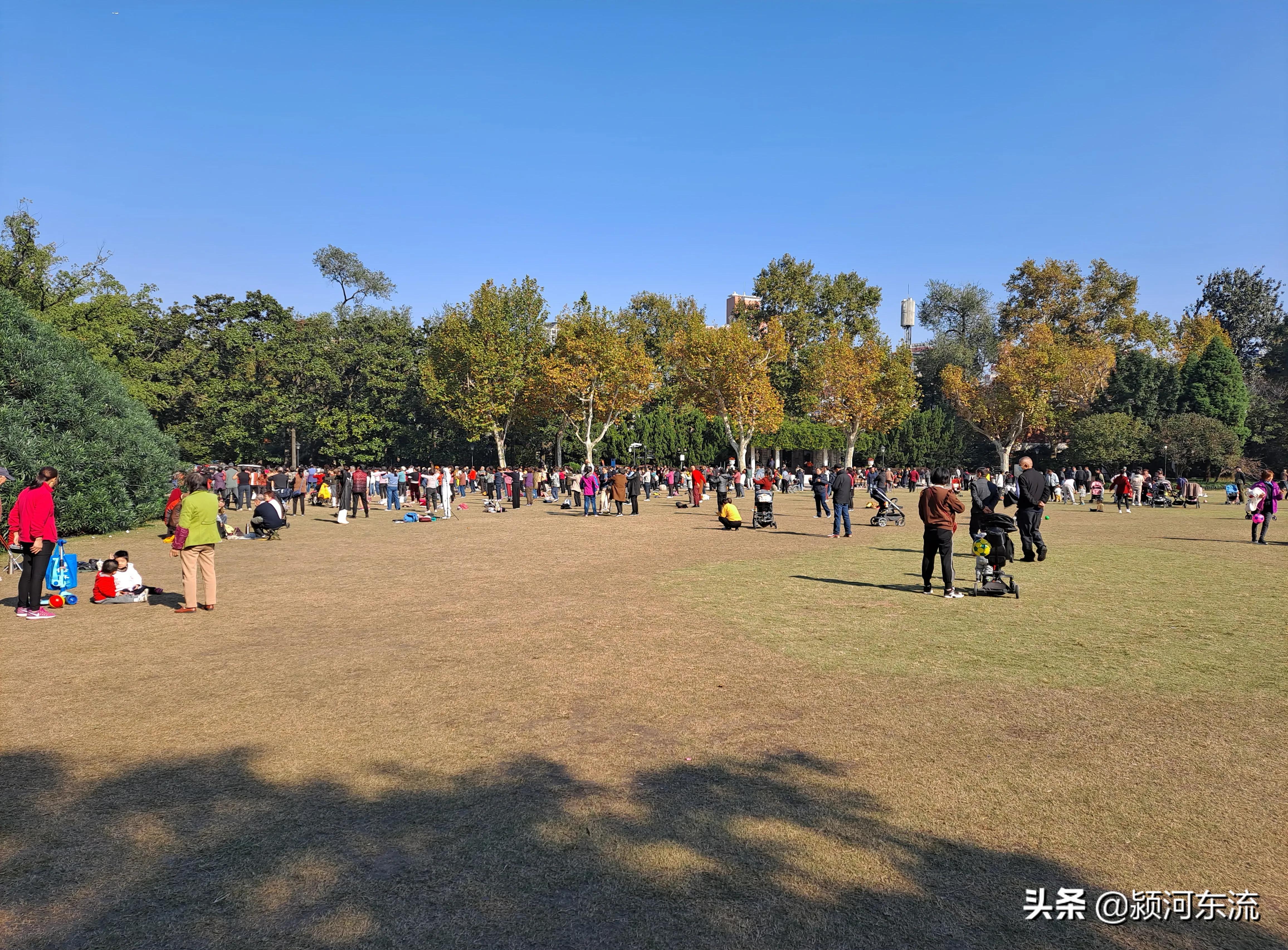 上海公园里做什么生意好,上海城市公园最新项目