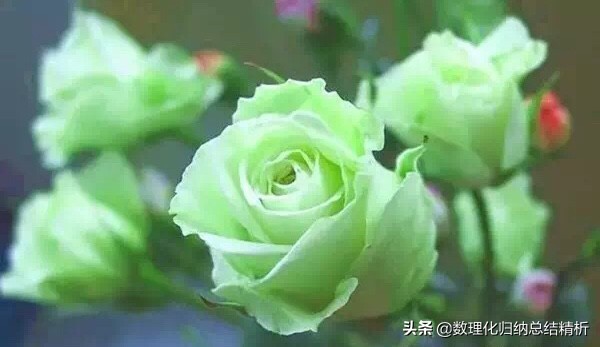 中考英语总复习大全