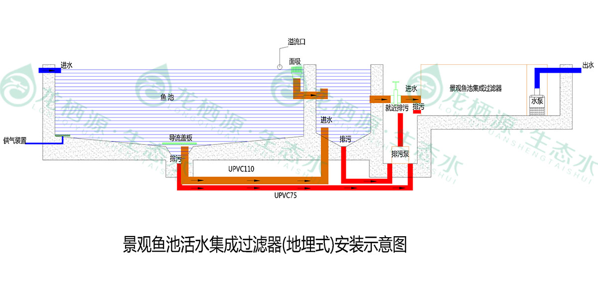锦鲤鱼池过滤系统的施工过程,锦鲤鱼池过滤系统建造与改造