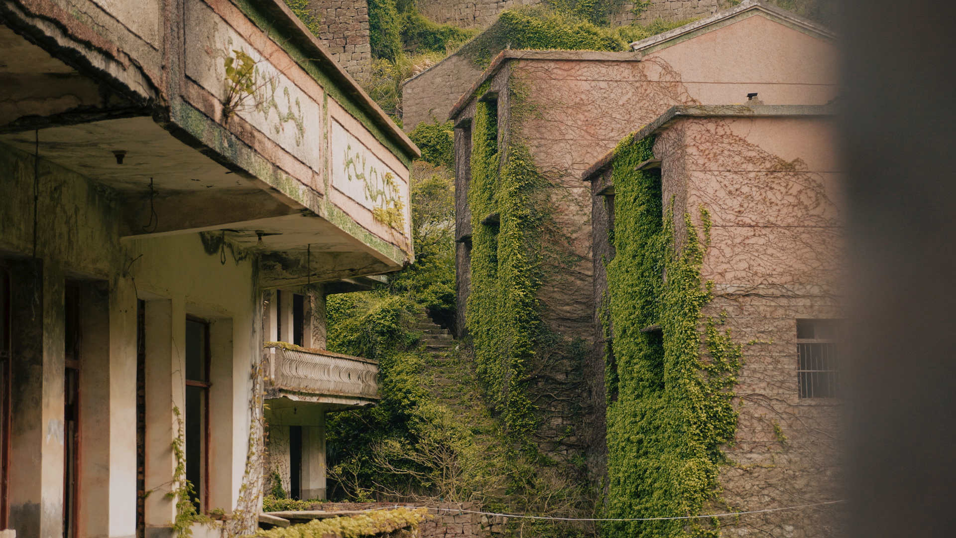 浙江嵊泗列岛三日游,嵊泗四日游旅游攻略