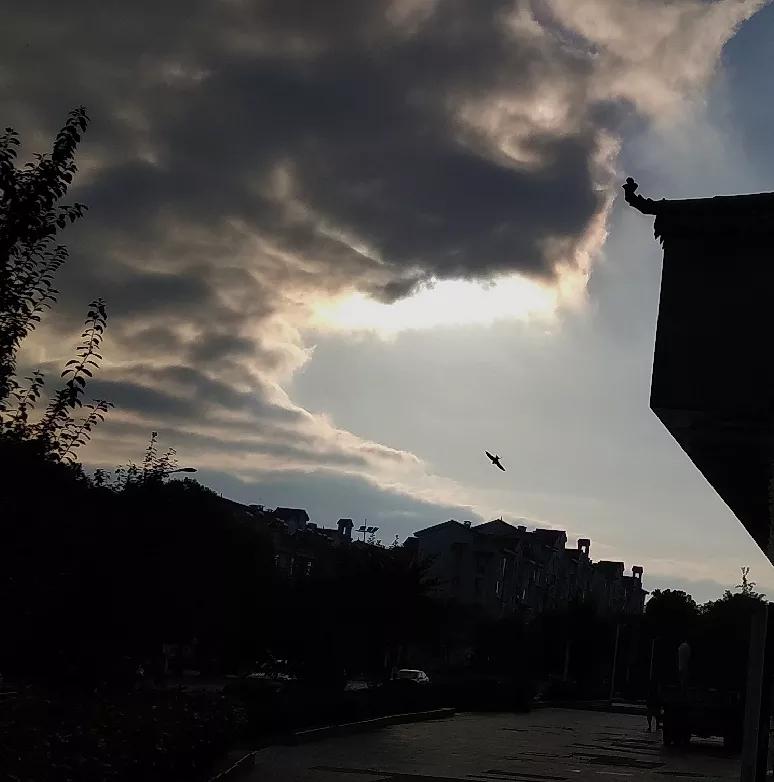 2020，我拍的奇云集锦