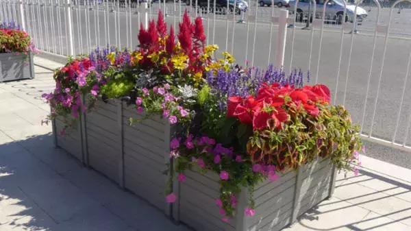 城市更新改造重点任务有几项,城市改造计划项目