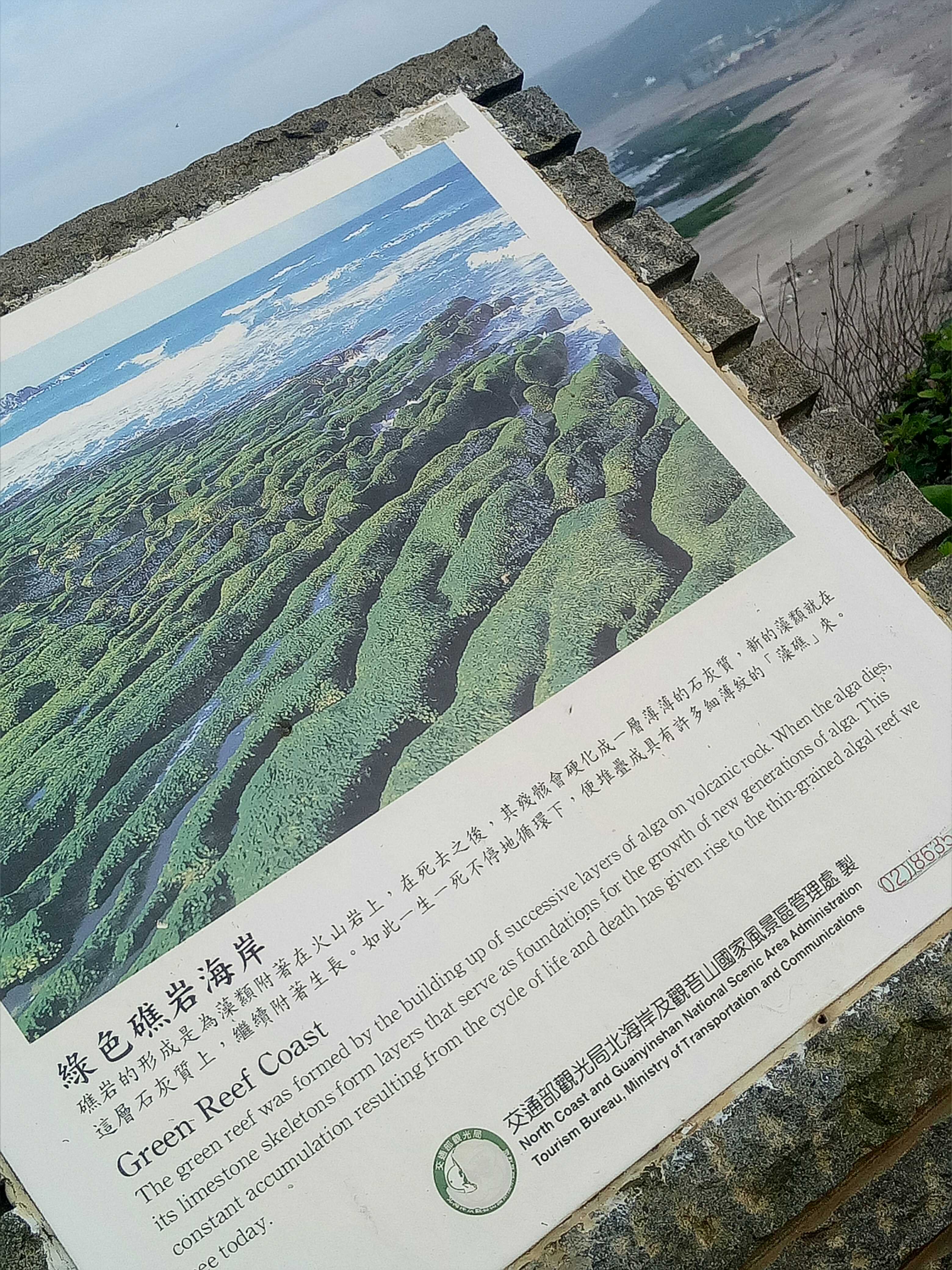 台湾海钓视频,台湾海钓