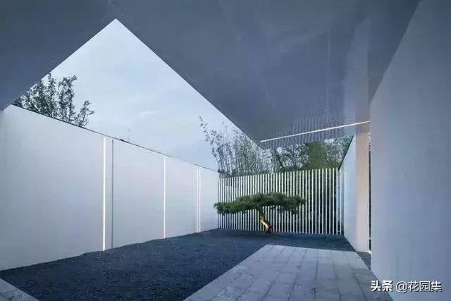 小小庭院,小小庭院满园春色