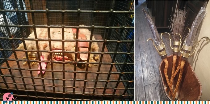 如何一天玩转环球影城,如何玩转大阪环球影城