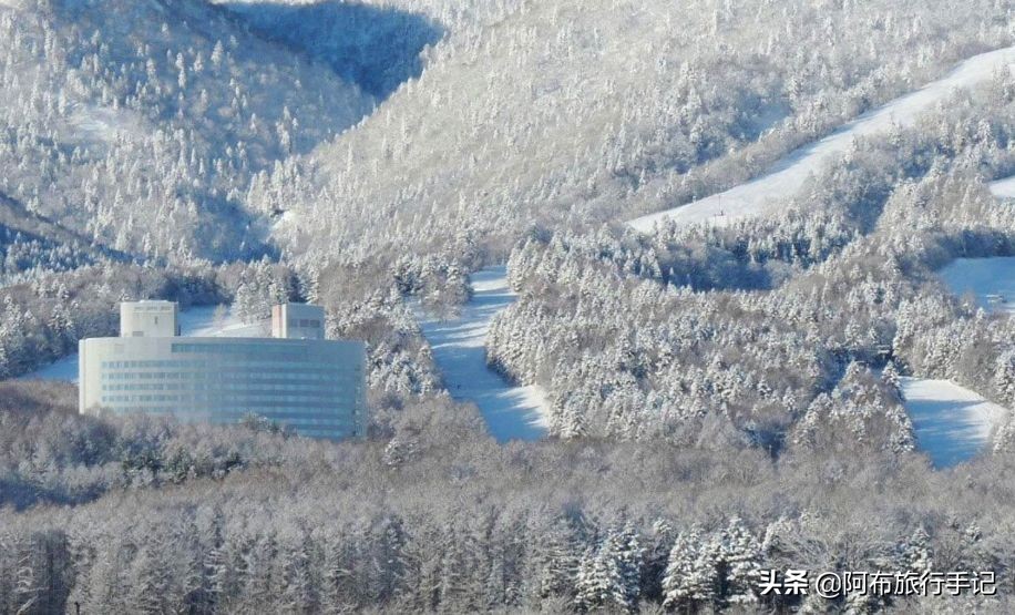 住在日本前世界首富的酒店里什么感觉，小镇青年的世界他不懂