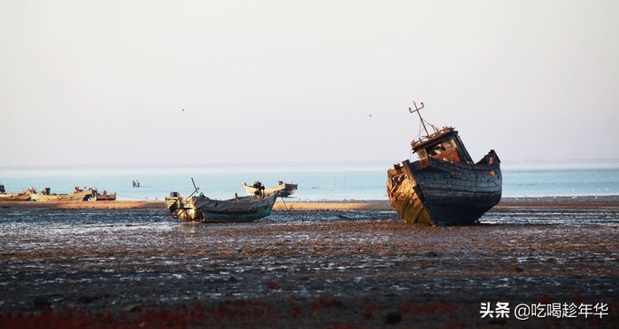 营口团山海洋公园是北海公园吗,营口团山海洋公园和金帛滩哪个好