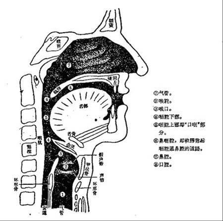 唱歌声音憋着出不来,唱歌唱到喉咙紧怎么办