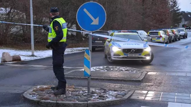 瑞典罕见婴儿被拐案,瑞典哥德堡婴儿被拐