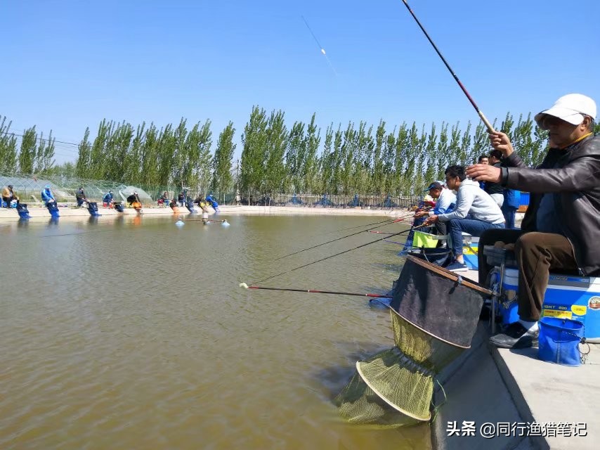 草鱼怎么钓才能钓得又大又好,钓草鱼的几种钓法多年实用总结