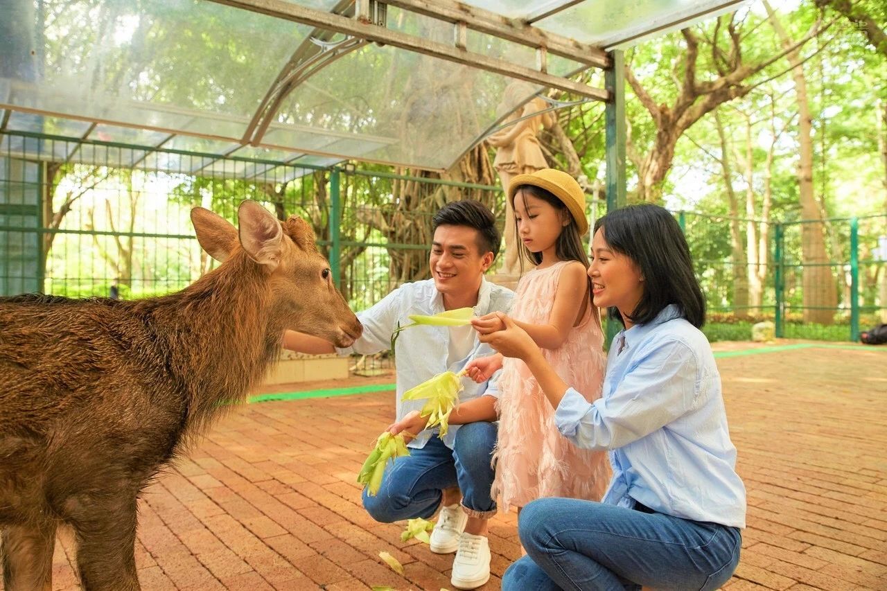 鎭掑ぇ鍏泭娲诲姩,鎭掑ぇ閰掑簵鍖绘姢棰勭害