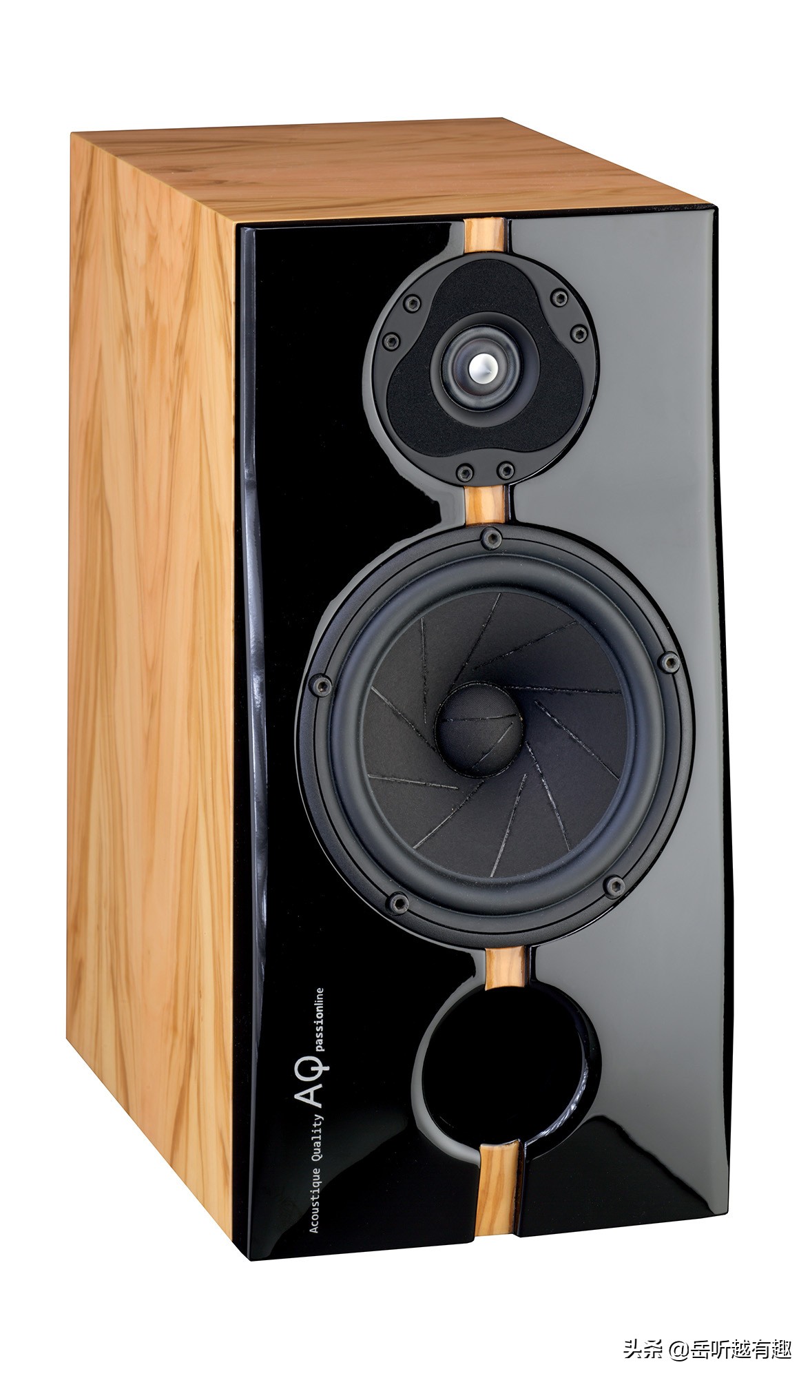 中坚力量——评AQPassionTeen书架式音箱