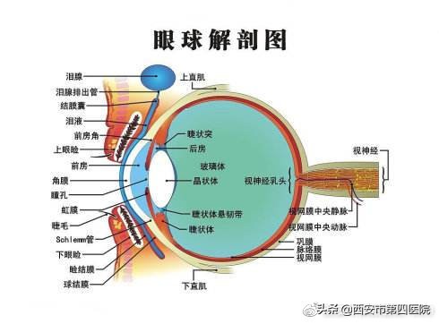 健康科普汇什么是儿童晕厥,健康科普眼球