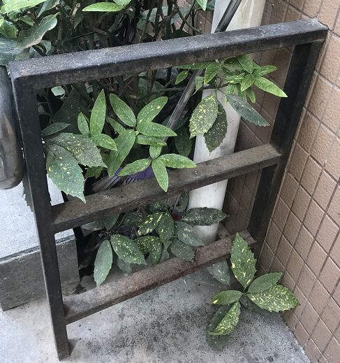 交付10年，涨幅1024%！曾经无人问津的楼盘，现在成了啥样？