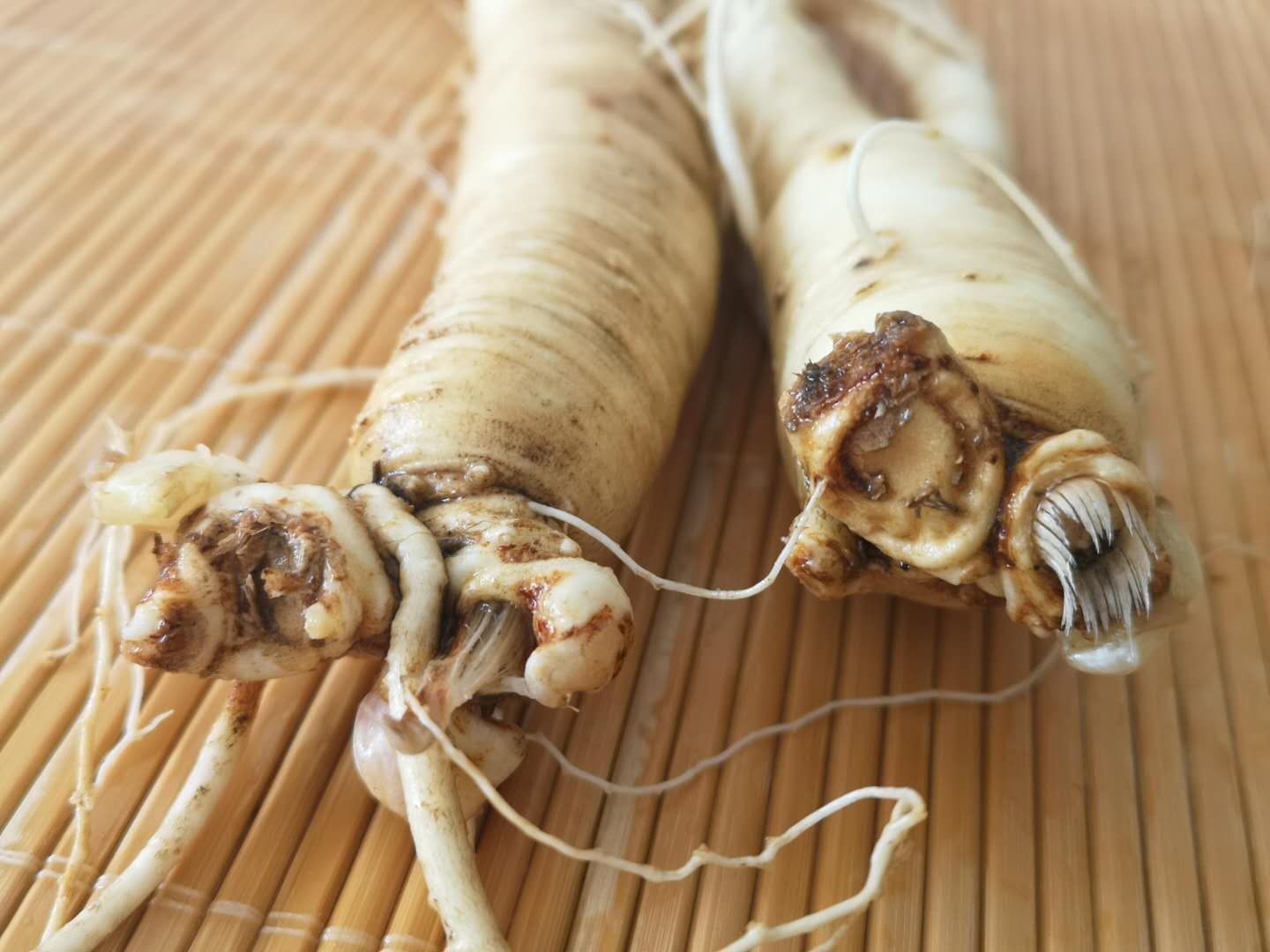 高丽参和红参有什么区别,中国红和高丽红区别