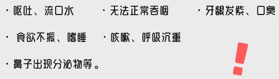小猫咪为啥乱拉屎,有些小猫咪表面挺正常