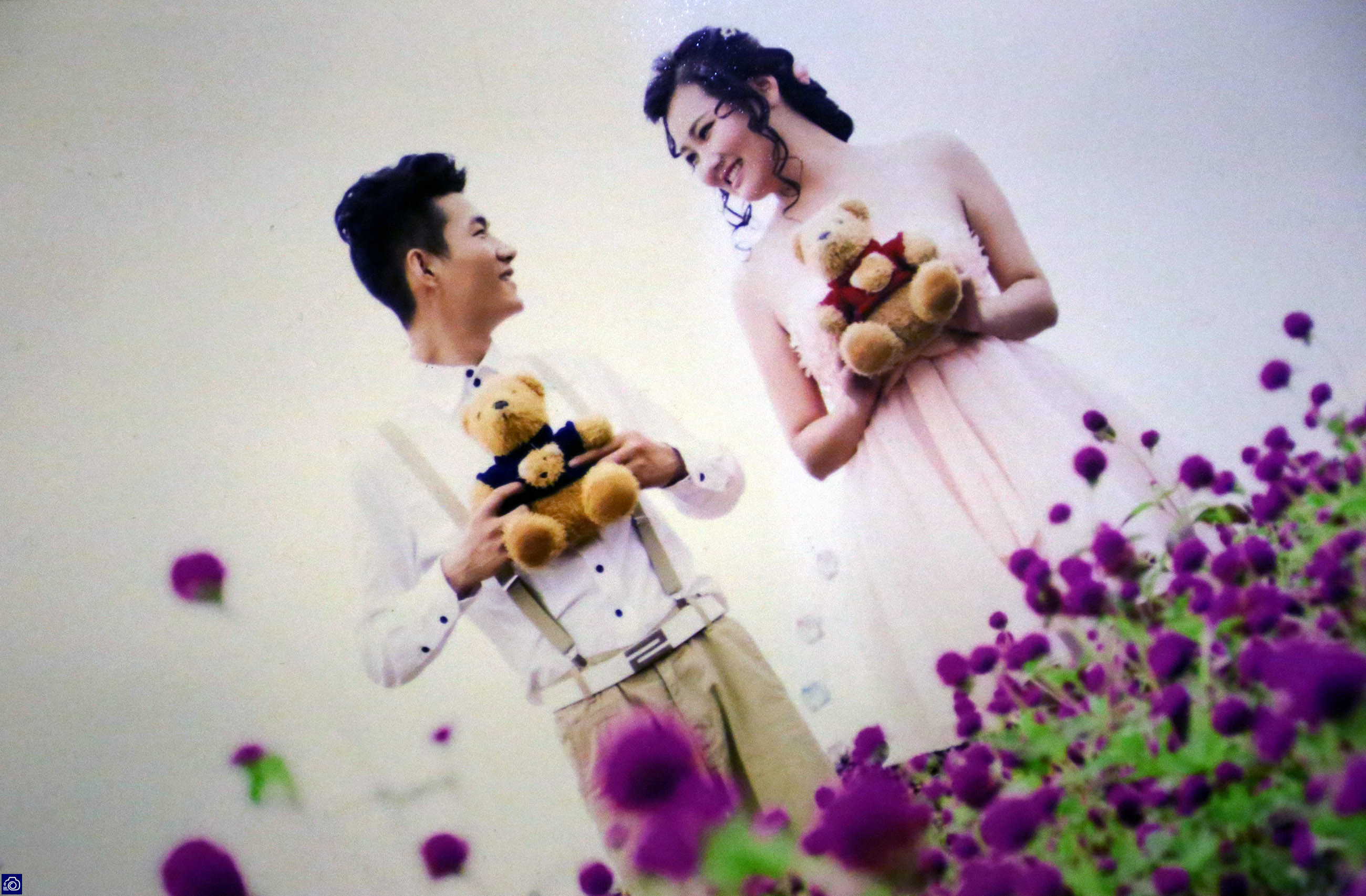 在家里养了差不多十几只孔雀,养孔雀150只